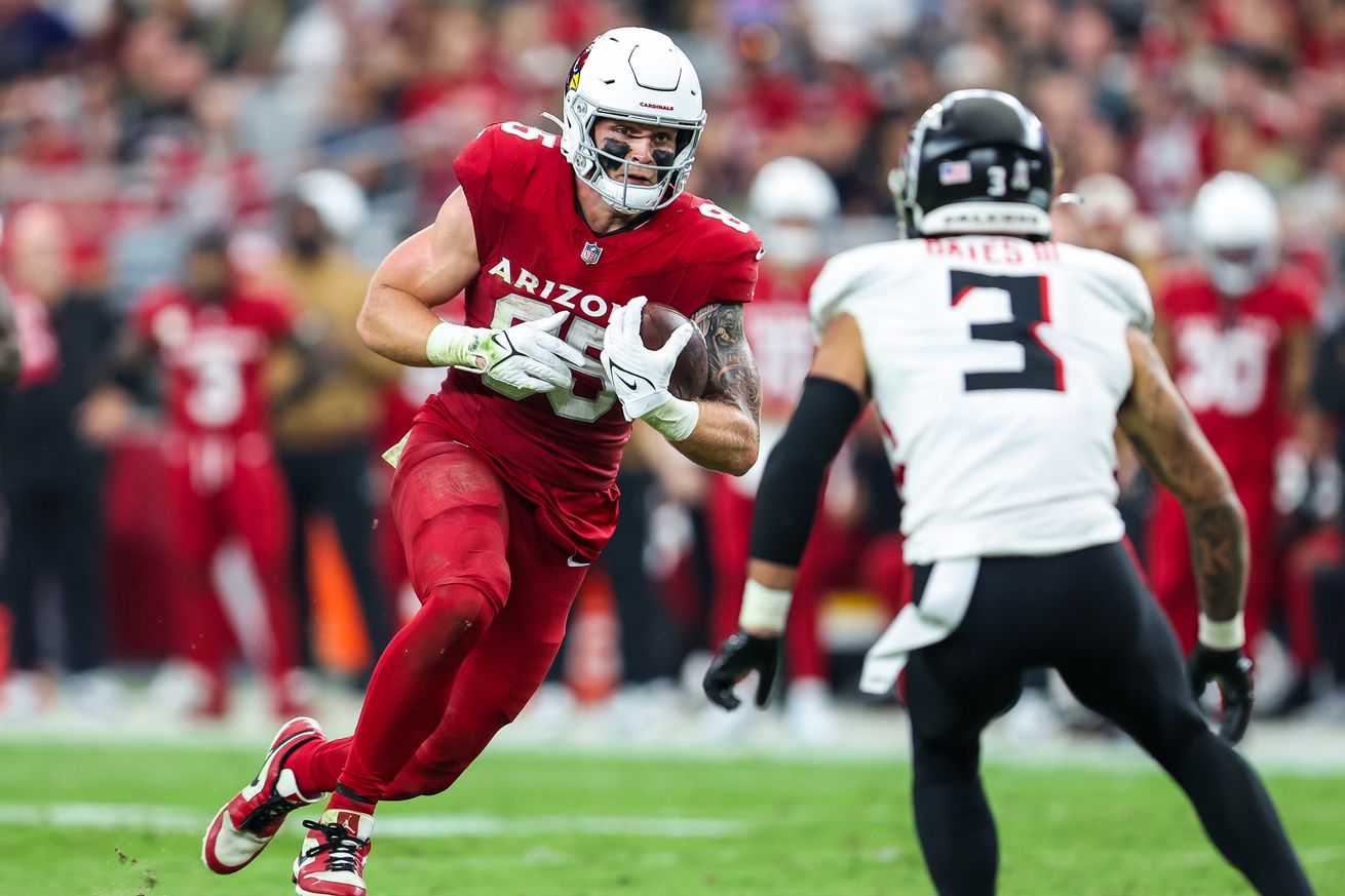 Atlanta Falcons v Arizona Cardinals