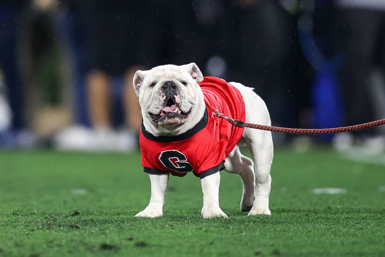 NCAA Football: Mississippi at Georgia