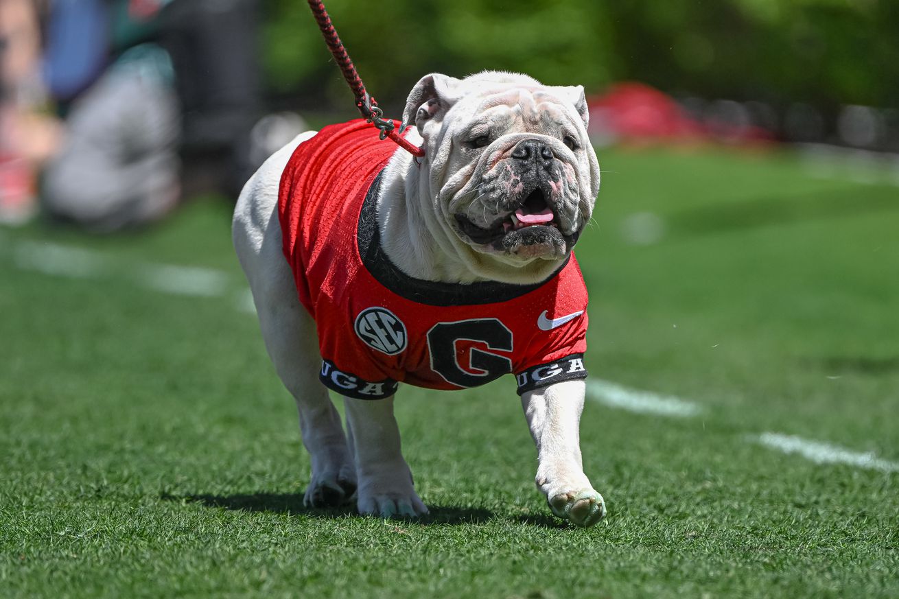 COLLEGE FOOTBALL: APR 13 Georgia Spring Game