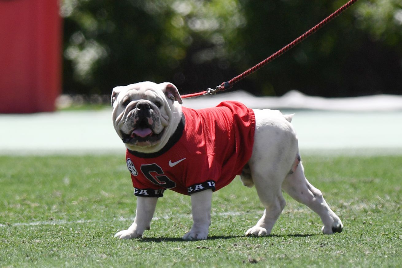 COLLEGE FOOTBALL: APR 13 Georgia Spring Game