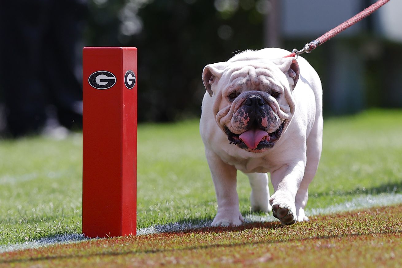 Tennessee Tech v Georgia