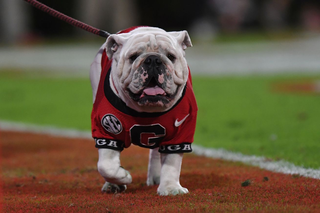 COLLEGE FOOTBALL: OCT 12 Mississippi State at Georgia