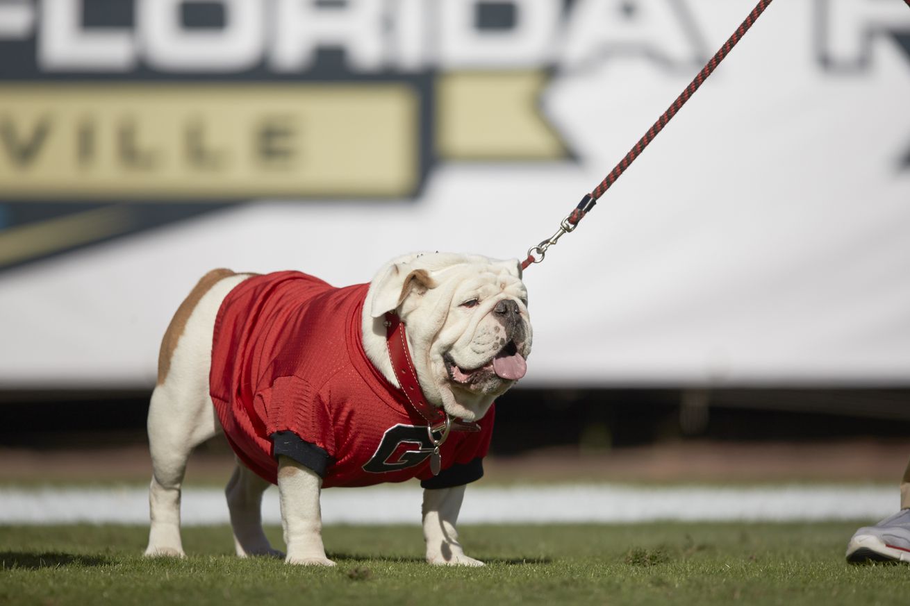 University of Florida vs University of Georgia