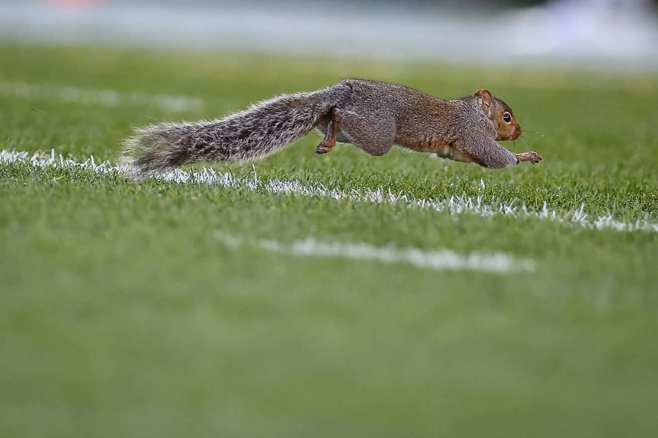 Michigan State v Penn State