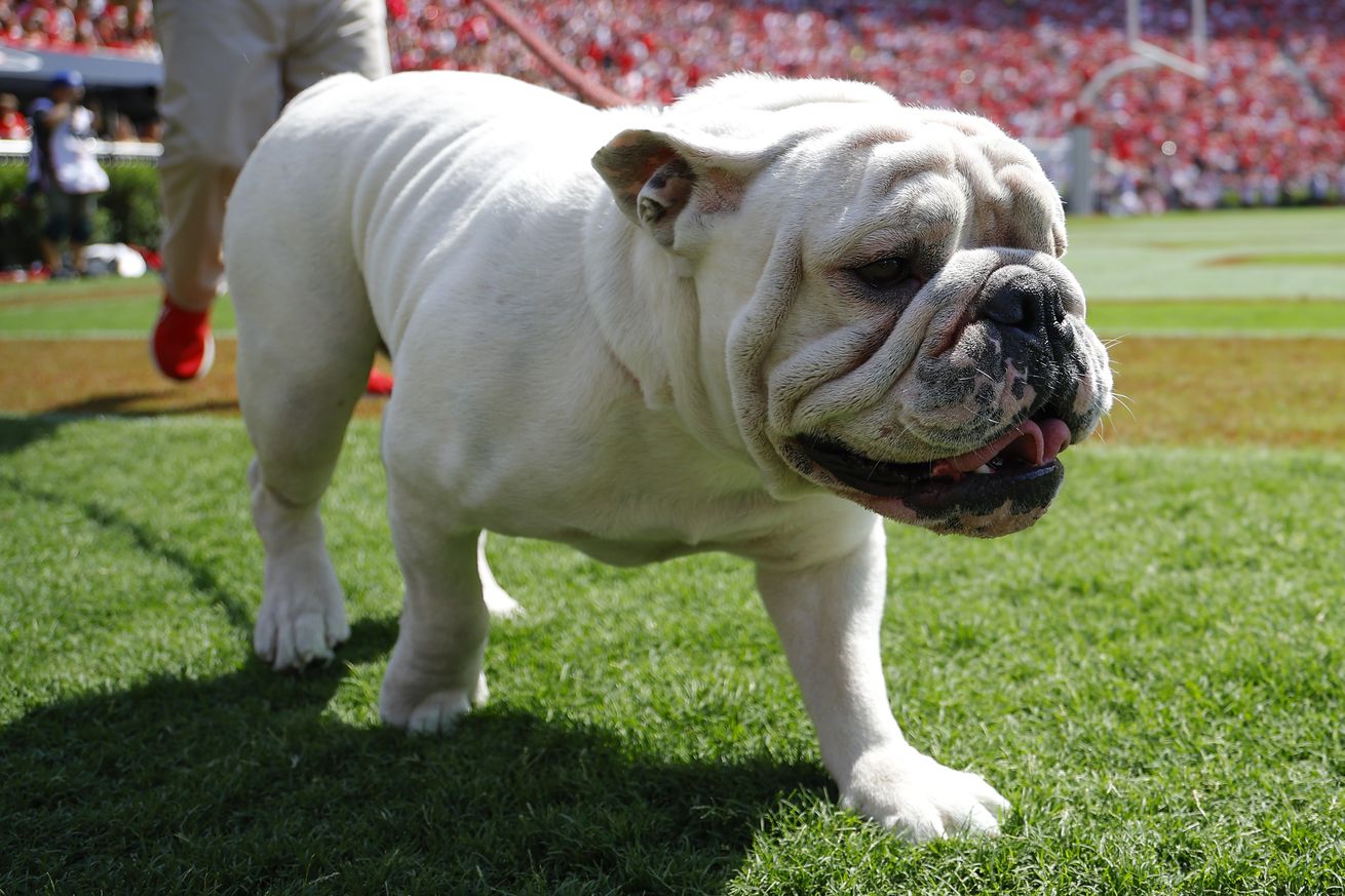 Tennessee Tech v Georgia