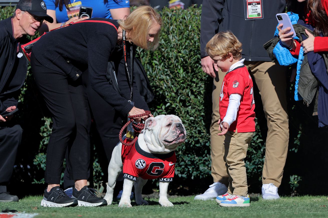 COLLEGE FOOTBALL: NOV 23 UMass at Georgia