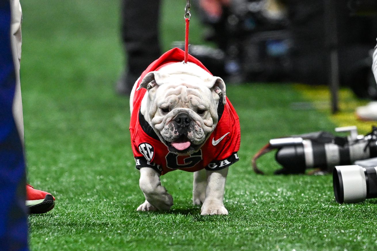 COLLEGE FOOTBALL: DEC 07 SEC Championship Game - Georgia vs Texas